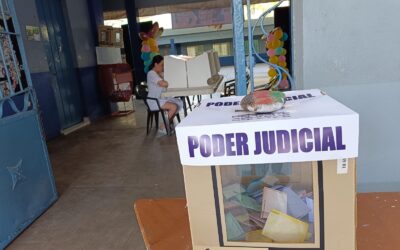 Con celulares ha asistido parte de la comunidad a la sección 785 a votar, informa presidenta de casilla