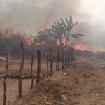 A la baja, incendios forestales en Sinaloa: Sebides.