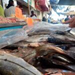 COEPRISS iniciará este lunes inspección de establecimientos en Sinaloa por la venta de pescado y mariscos para Cuaresma.