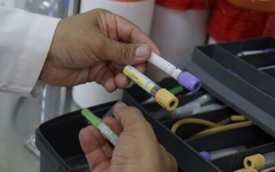 El tipo de alimentación es determinante en la aparición de cálculos renales: especialistas en medicina y nutrición.