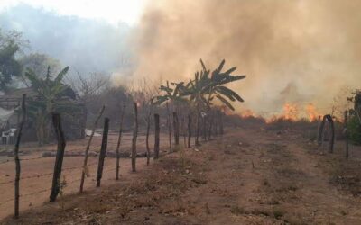 Preocupa aumento de incendios forestales en la sierra de Sinaloa