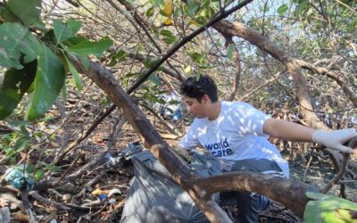 Realizan en Mazatlán séptima jornada de limpieza de manglares, en el marco del Día Mundial del Medio Ambiente.