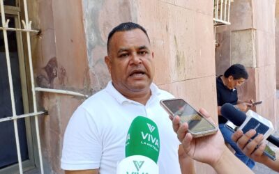 Arribo de cruceros oxigena el servicio de transporte