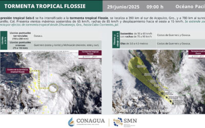 Se formaron las tormentas tropicales Flossie en el océano Pacífico y Barry en el Atlántico