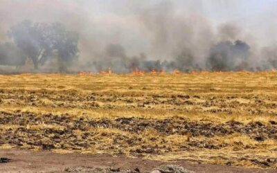Llaman a denunciar la quema de soca en Ahome; es un delito ambiental: Protección Civil