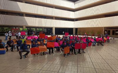 Colectivos exigen al Gobernador acciones contra el presidente de la CEDH