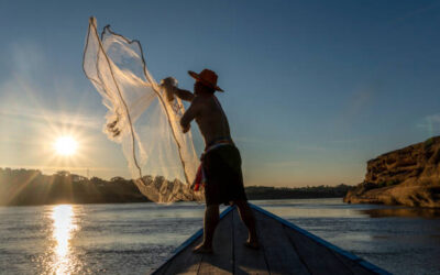 Altas temperaturas ya afectan a pescadores y aguas de la bahía de Altata: dirigente