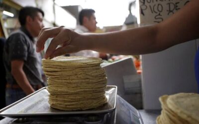 Industriales de la tortilla en Sinaloa mantienen precio pese a aumentos en insumos