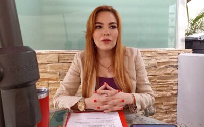Diputada del PRI propone tres medidas para combatir el robo de vehículos en Sinaloa