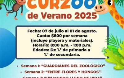 CURZOO Verano 2025: diversión, aprendizaje y naturaleza en el Zoológico de Culiacán.