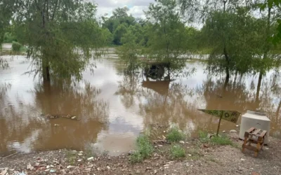 Protección Civil vigila niveles del Río Sinaloa; su cauce se mantiene dentro de niveles seguros.