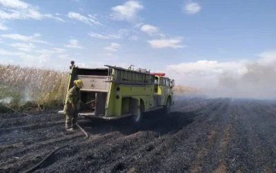 Aumentan los incendios de soca en Guasave, Bomberos atiende hasta tres servicios diarios.