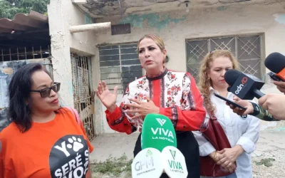 Rescatan a 18 perros en situación de maltrato en Mazatlán; refugios están saturados