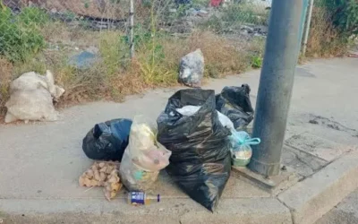 Servicio de recolección de basura en Culiacán opera con normalidad: Servicios Públicos