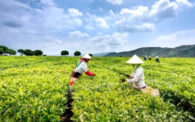 Agricultores del Río Culiacán enfrentan un 2025 complicado por inseguridad: AARC