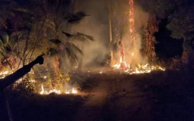 Bomberos de Culiacán llaman a reforzar medidas de prevención ante riesgo de incendios