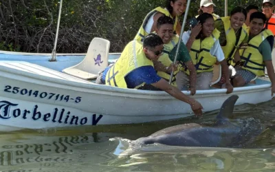 Turismo en Topolobampo repunta por el calor: “En la tarde prácticamente todas las lanchas se mueven”
