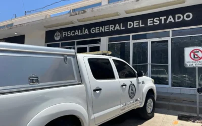 Alerta en Guasave por fraude a ganaderos; se hacen pasar por compradores y huyen con el ganado.
