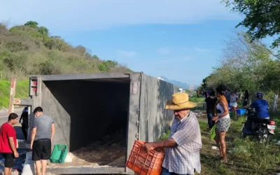 Saquean Camarón de un tráiler volcado en Escuinapa.