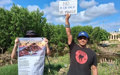 Protestan por tala de mangle en Mazatlán