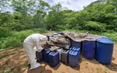 Grupo Interinstitucional asegura 6 áreas de almacenamiento de químicos en Culiacán, Mocorito y Elota