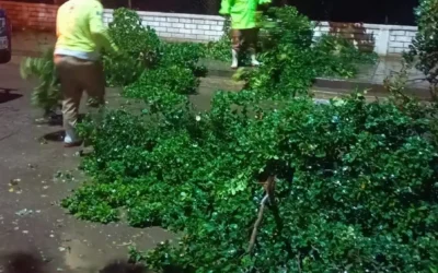 Alcaldesa Cecilia Ramírez, asegura que familia afectada por poste de electricidad durante las lluvias, ya será dada se alta.