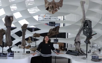 Itzé Coronel Salomón es reconocida como Ícono de la Integridad 2025