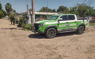 Domingo Espero, levanta la mano para ser el regidor que represente a los animales en Guasave