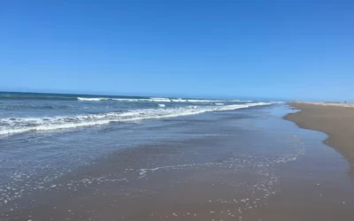 Protección Civil lanza alerta por mar de fondo en costas de Guasave; piden tomar precauciones a la ciudadanía.
