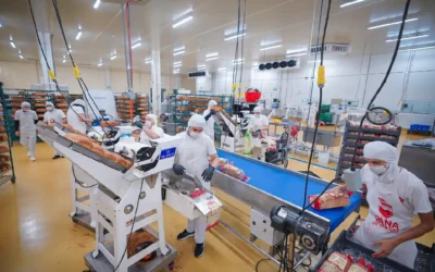 CEPROFIES han impulsado la creación de más de 30 mil empleos en Sinaloa