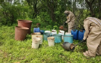 Grupo Interinstitucional asegura 3 áreas de almacenamiento de químicos en Culiacán y Cosalá.
