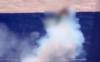 Indignación en Guanajuato: estudiantes de Criminología acusados de matar a un gato con pirotecnia