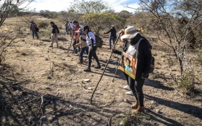 Colectivo “Madres en Lucha por tu Regreso a Casa” ajusta estrategias de búsqueda ante violencia en Sinaloa