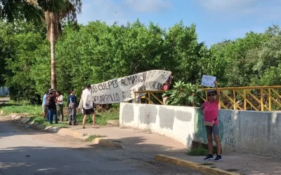 Ambientalistas se manifestaron para protestar la tala de mangle en Mazatlán