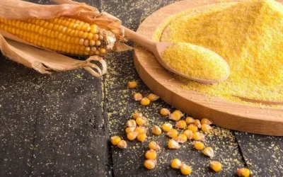 La dependencia del maíz y su impacto en la soberanía alimentaria.