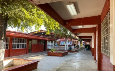 Se cuenta con protocolos para prevenir y atender casos de acoso y abuso sexual en escuelas: SEPYC.