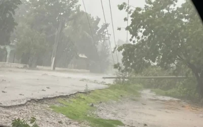 Tormenta provoca caída de postes, árboles y carreteras inundadas en el municipio de Sinaloa