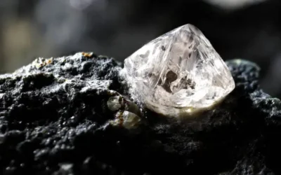 Mujer halla diamante de 2 quilates en un parque de Arkansas y lo usará en su anillo de compromiso