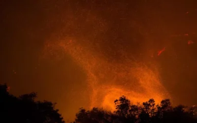 ¡Impresionante! Tornado de fuego se forma en Portugal tras incendios extremos en Europa