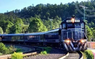 Gobernador celebra tren “El Sinaloense” anunciado por la presidenta Claudia Sheinbaum