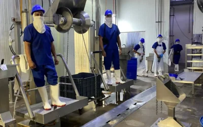 Certificación TIF del Rastro Municipal de Mazatlán impulsa el desarrollo económico de Sinaloa