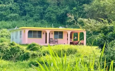 Disparan contra casa usada en video de Bad Bunny tras demanda millonaria