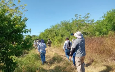 Localizan fosa clandestina al sur de la ciudad de Mazatlán