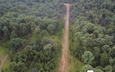 En Choix, el Grupo Interinstitucional asegura e inhabilita una pista clandestina