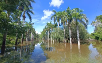 Continuará cerrado el parque en Los Mochis por los daños generados por las intensas lluvias