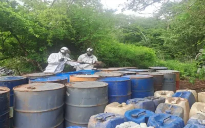 El Gabinete de Seguridad del Gobierno de México informa acciones relevantes del lunes 29 de septiembre de 2025.