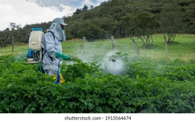 Es una decisión de fondo positiva la Estrategia de Reducción y Uso Adecuado de Plaguicidas: Sergio Álvarez Torres