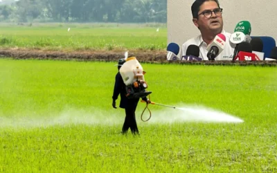 Agricultores de Culiacán piden gradualidad en eliminación de plaguicidas