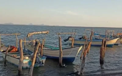 Este viernes inicia oficialmente la temporada de pesca: dirigente pesquero