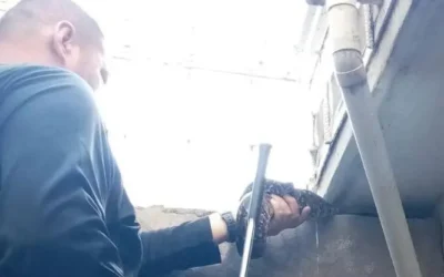 Capturan otra serpiente en Culiacán; ahora en el fraccionamiento Valle Alto